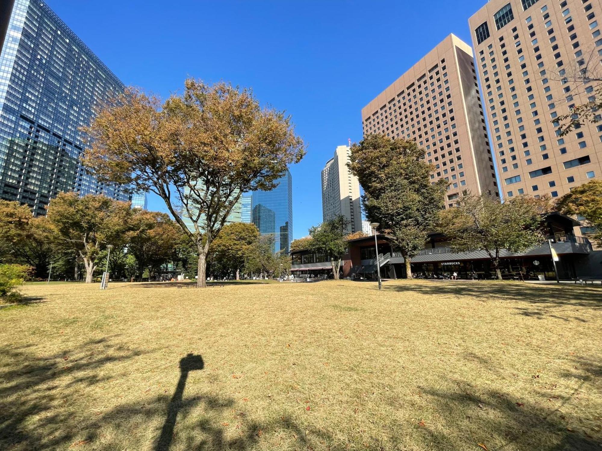 Max4People Shinjuku 7Minutes Shibuya12 Minutes 5Minutes Walk From Hatsudai Station Leon Resort Shibuya Tōkyō Extérieur photo